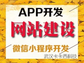 武漢小程序定制與網(wǎng)站建設(shè)推廣企業(yè)指南