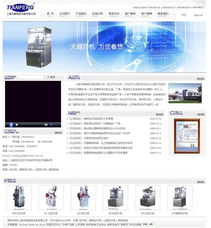 專業(yè)型網(wǎng)站建設(shè) 打造高效的數(shù)字品牌基石